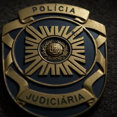 Polícia Judiciária detém membro de organização criminosa