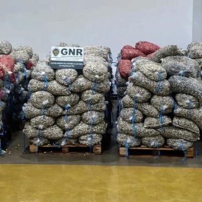 Apreensão em Estarreja de dez toneladas de berbigão imaturo