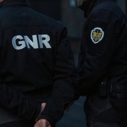 GNR encerra Floresta Segura 2025 após nove meses de ações nacionais