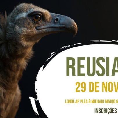 Avistando os Abutres encerra ano de caminhadas na Herdade da Contenda