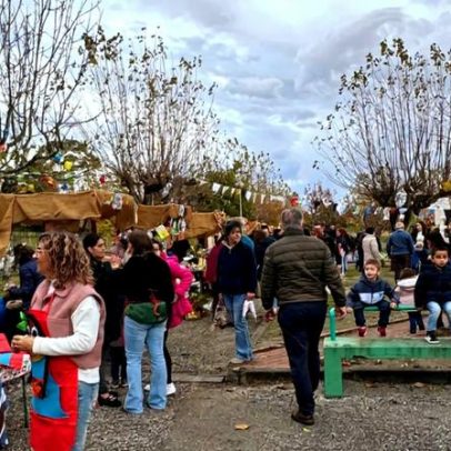 Escola da Cordinha celebra S. Martinho com feira e festival de sopas