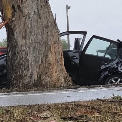 Mulher gravemente ferida após despiste