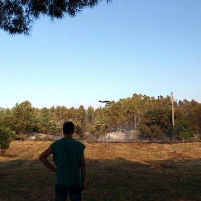 Relatório aponta falhas de coordenação nos fogos de 2024 e 2025