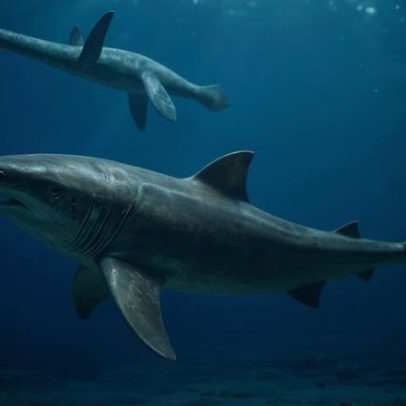 Mais antigo mega-predador dos oceanos nadava na Austrália na era dos dinossauros