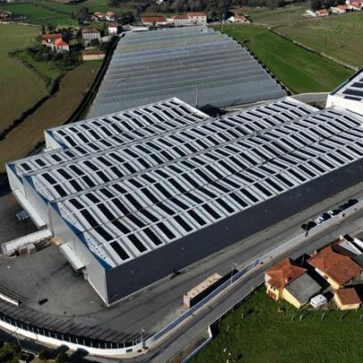 ENGIE e Cleanwatts desenvolvem projeto solar com Metalogalva
