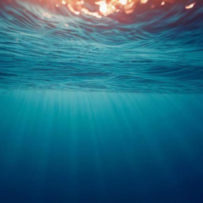 Vírus marinho usa cavalo de Troia para roubar energia de bactérias oceânicas