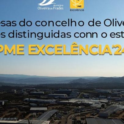 Seis empresas de Oliveira de Frades recebem estatuto PME Excelência