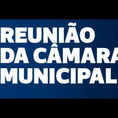 Câmara Municipal de Ovar aborda reorganização interna, gestão florestal e Carnaval 2026