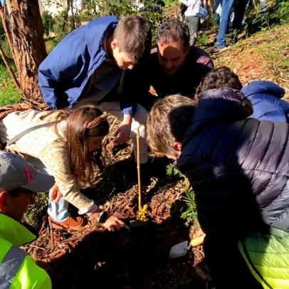 Bosque dos Loios, um recanto para conhecer em Coimbra