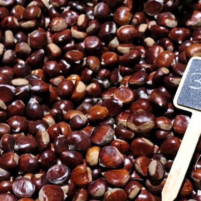 Tendais celebra sabores do outono na XXI Feira da Castanha de S. Miguel