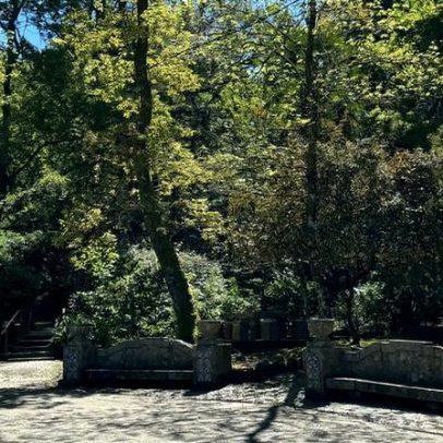 Viseu: parques verdes reabertos e semáforos na Infante D. Henrique já funcionam