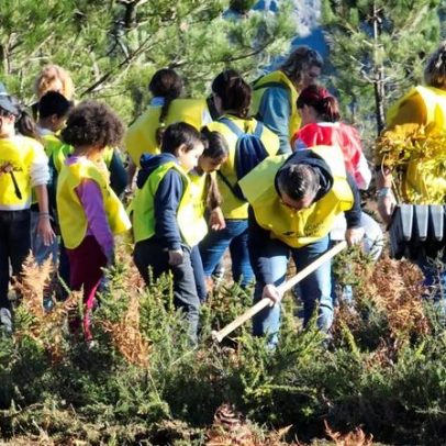 Góis participa na ação de voluntariado "Faz da tua escola um viveiro"