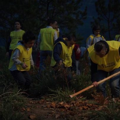 Góis participa na ação de voluntariado Faz da tua escola um viveiro