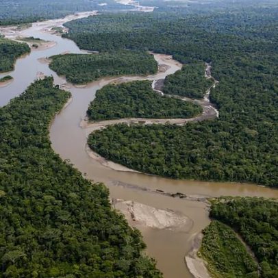 Pará e engenharia portuguesa firmam parceria pela proteção da Amazónia