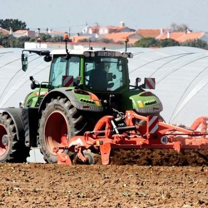 Mês imprevisível provoca quebras na produção em Lezíria e Sorraia