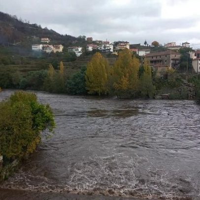 Cheias no rio Alva destroem novamente a ilha do Picoto em Avô