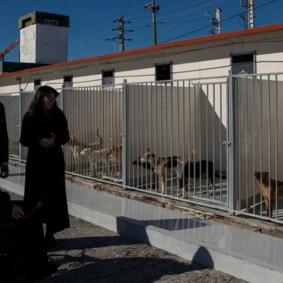 Bastonário da Ordem dos Veterinários visita Centro de Recolha Vila Franca de Xira