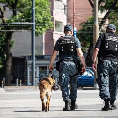 Corpo de homem encontrado em canavial em Oeiras; PSP investiga crime