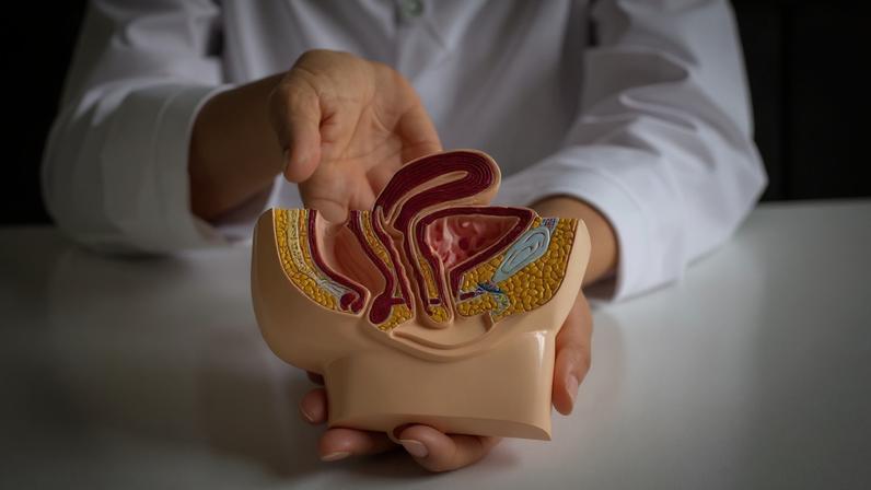 Cancro da bexiga é o sexto mais comum em Portugal, iniciativa sensibiliza