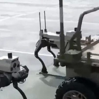 Lobos robóticos chineses testados em exercícios militares junto a Taiwan
