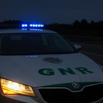 GNR deteta mais de 350 infrações no transporte de mercadorias