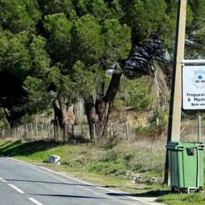 Reparação da estrada Alberge-Casebres avança ainda este ano