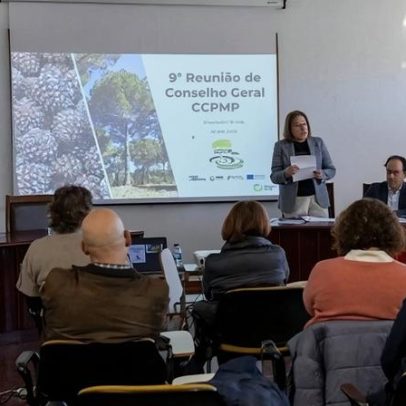 Clarisse Campos destaca a agricultura tradicional e a floresta na economia local