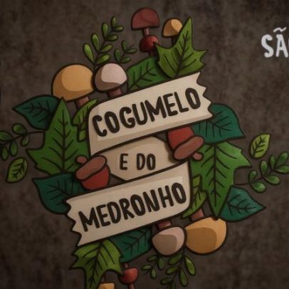 Feira do Cogumelo e do Medronho regressa a São Barnabé até domingo