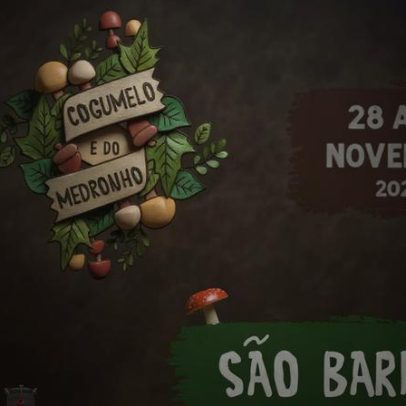 Almodôvar recebe Feira do Cogumelo e do Medronho em São Barnabé