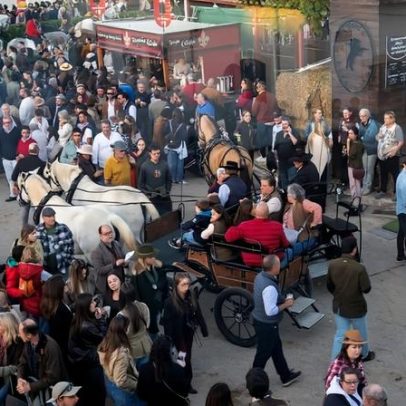 Feira Nacional do Cavalo formaliza candidatura a património cultural da UNESCO