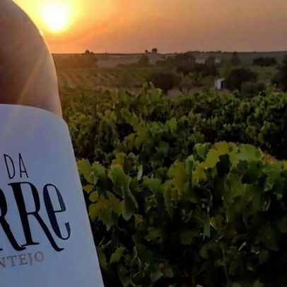 Courelas da Torre: território familiar e sustentabilidade no Alentejo