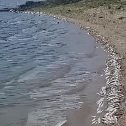 APA reafirma ausência de descargas poluentes na albufeira de Castelo de Vide