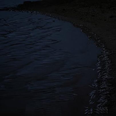 Câmara de Castelo de Vide alerta peixes mortos na albufeira