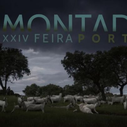 Portel: Feira do Montado traz sexta-feira com showcooking e música