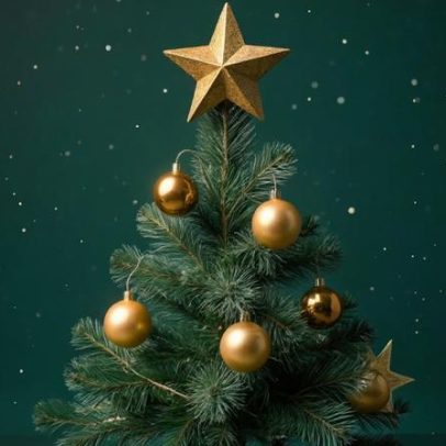 Mercado de Natal regressa ao Largo da Fonte das Bicas, Borba, em dezembro