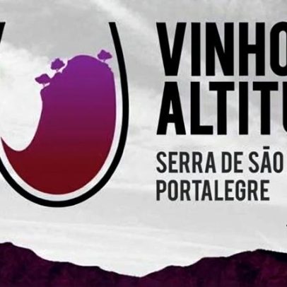 Portalegre testa vinhos de altitude de 20 produtores em dezembro