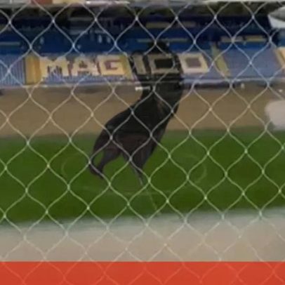 António Coimbra da Mota fica totalmente alagado devido ao mau tempo