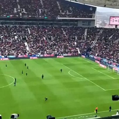 Invasor disfarçado finta stewards no relvado do Dragão