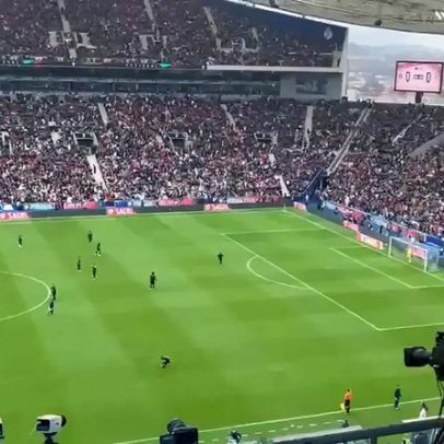 Invasor disfarçou-se e fintou stewards no relvado do Dragão