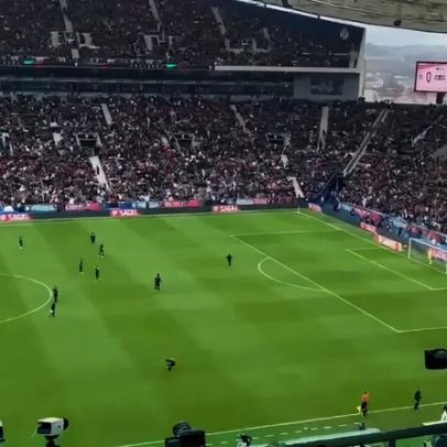 Invasor disfarçado contorna seguranças no relvado do Dragão