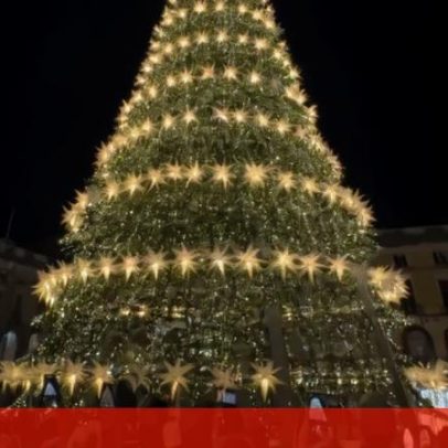 Pinheiro de Natal já brilha na Praça do Comércio, em Lisboa