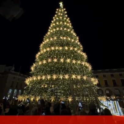 Pinheiro de Natal já ilumina a Praça do Comércio, em Lisboa