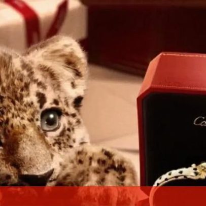 Marca de luxo apresenta campanha de Natal com panteras bebés