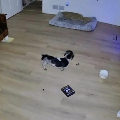Imagens mostram o momento do sismo de magnitude 6 que atingiu o Alasca
