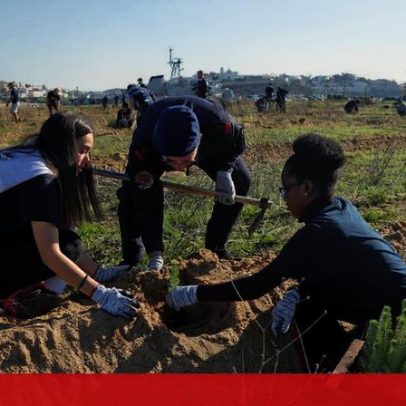 Associações exigem mais informação sobre investimento em espécies autóctones