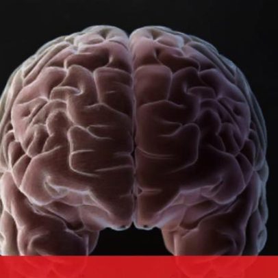 Cérebro humano passa por cinco fases da vida e atinge a idade adulta aos 32