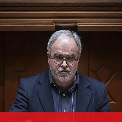 Pureza defende que o partido tem de mudar para crescer