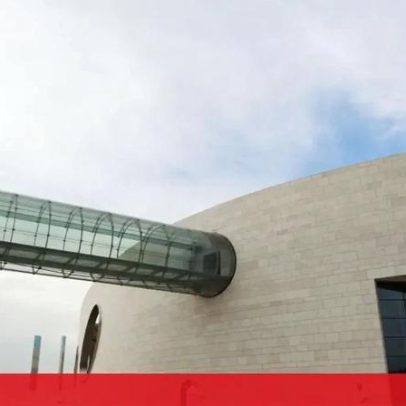 Sistema nervoso intestinal decide se o sistema imunitário ataca ou repara