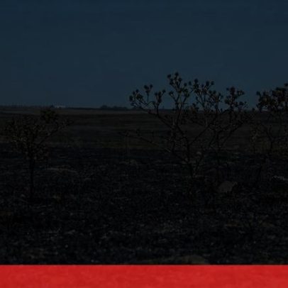 Acordo de Paris aumenta coordenação e ambição na luta climática, diz OCDE