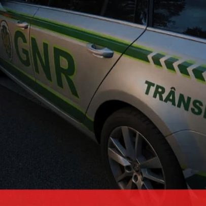 Três feridos após colisão entre carrinha e vaca na A22